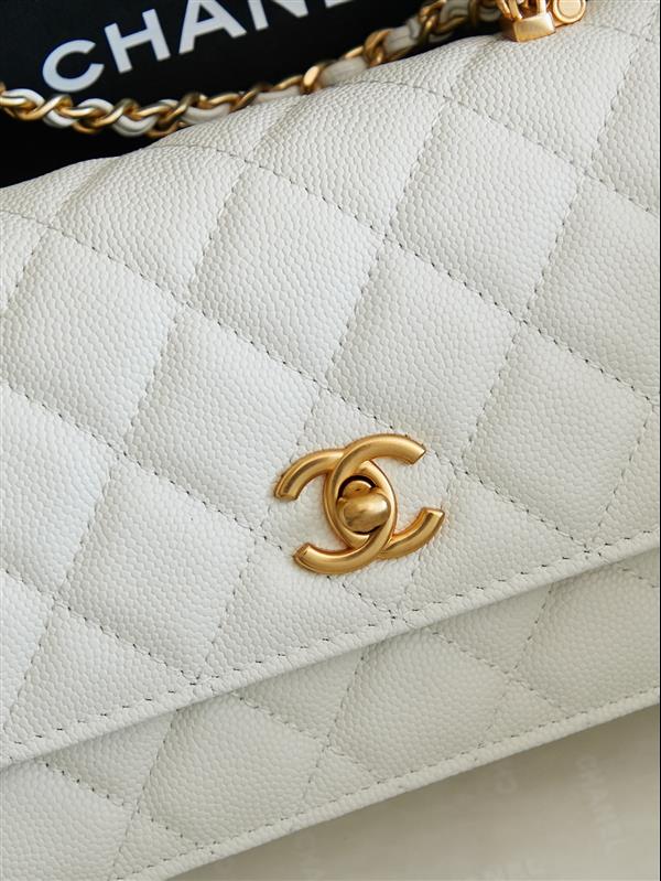 2026131222425123 560